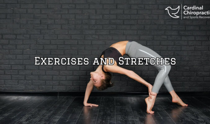 exercises and stretches